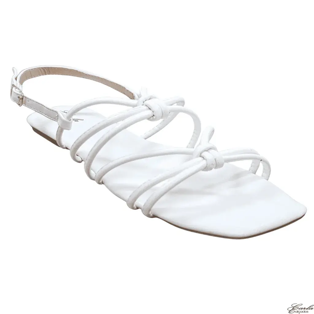 Rasteirinha Tamanho Especial (11)