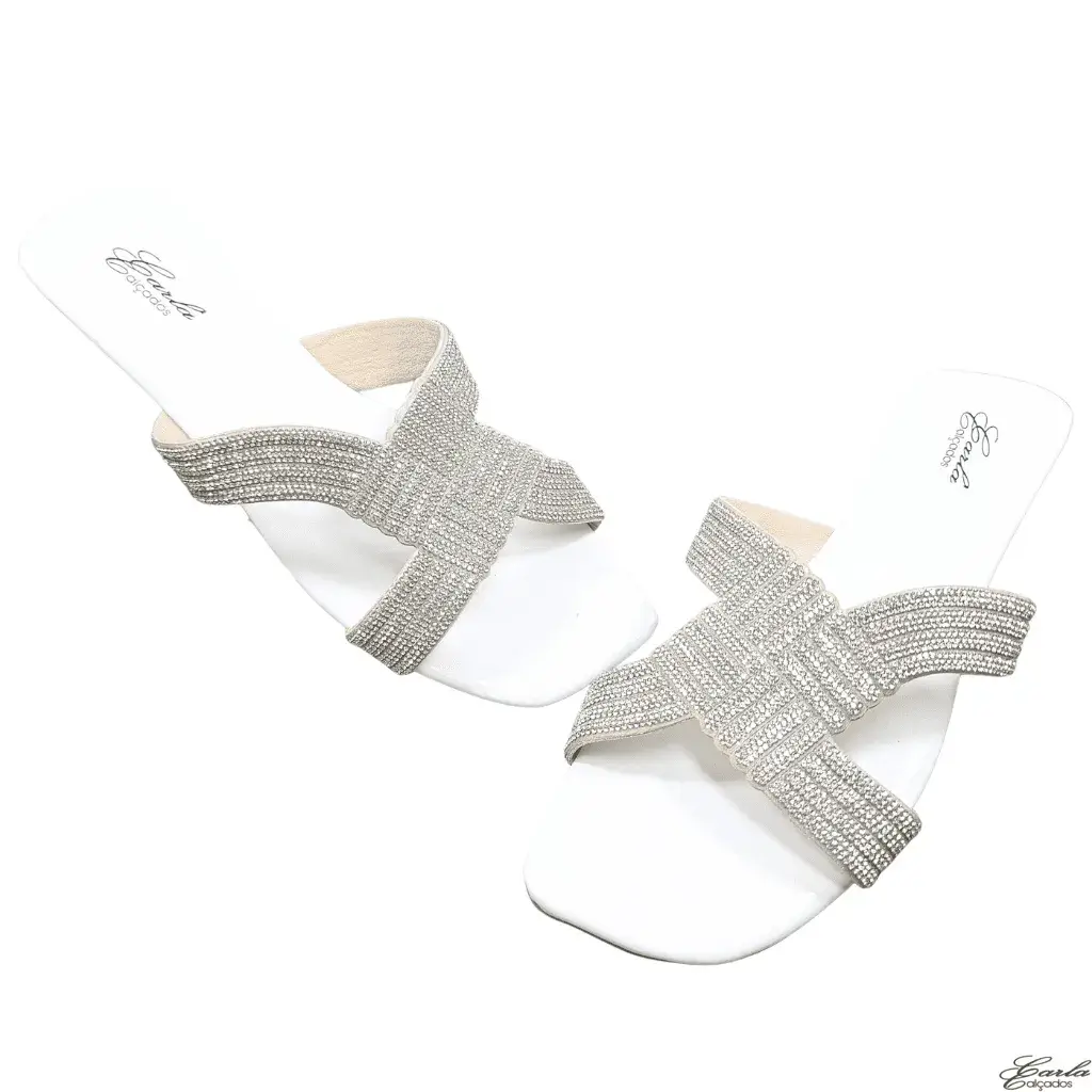 Rasteirinha Tamanho Especial (34)