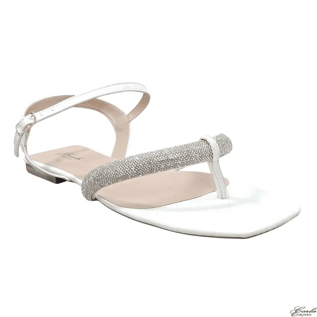 Rasteirinha Tamanho Especial (48)